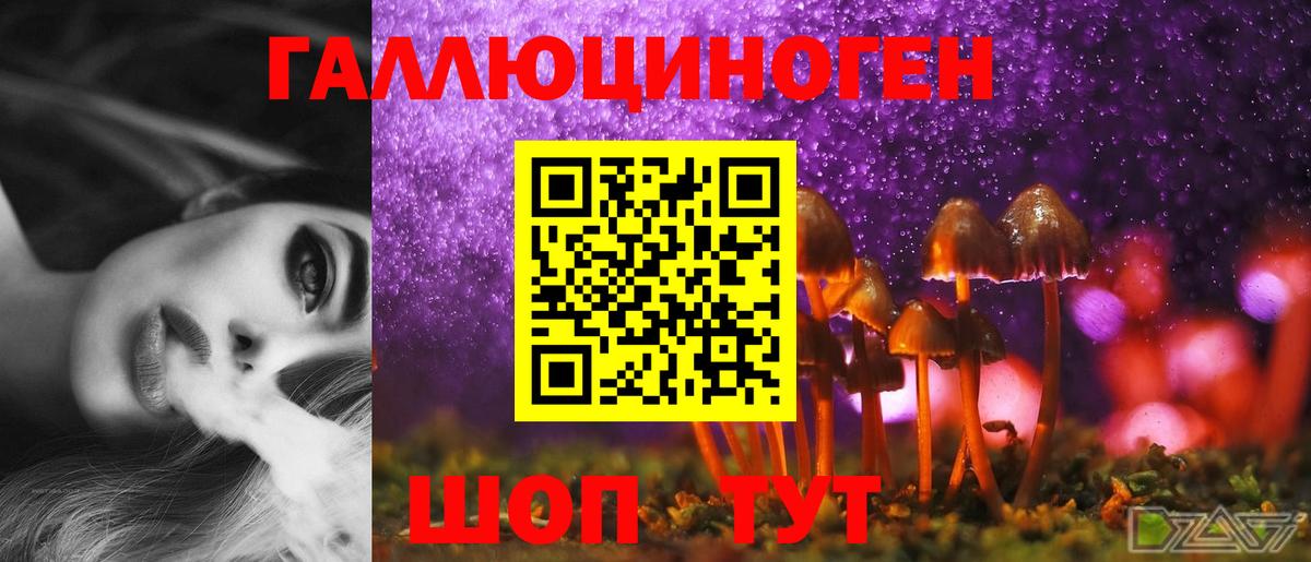Псилоцибиновые грибы Psilocybe  Вход с VPN  Галлюциногенные грибы MAGIC MUSHROOMS  Красногорск 